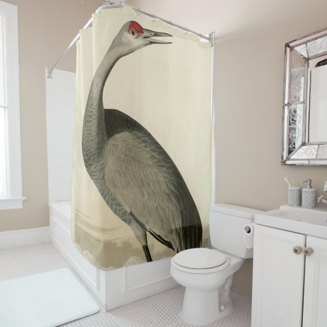 Rideaux De Douche Grue de Sandhill d'Audubon's Birds of America (En situation)