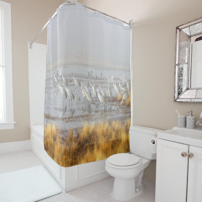 Rideaux De Douche Grues brumeuses de Sandhill (En situation)