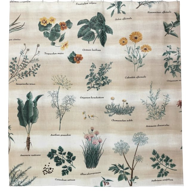 Rideaux De Douche Herbes Fleurs Plantes (Devant)