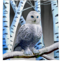 HIBOU AUX YEUX BLEUS DE NEIGE