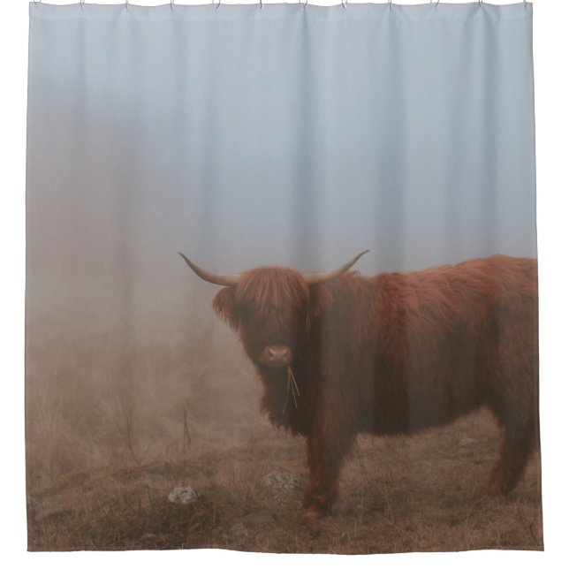 RIDEAUX DE DOUCHE HIGHLAND CATTTTLE VW (Devant)