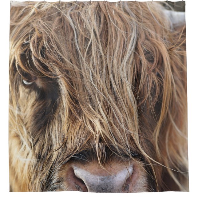 RIDEAUX DE DOUCHE HIGHLAND CHÂTEAU VACHE FACE (Devant)