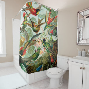 Rideaux De Douche Hummingbirds par Ernst Haeckel