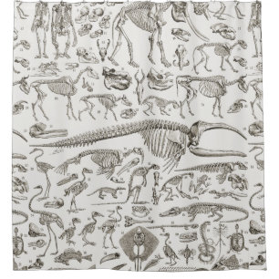 Rideaux De Douche Illustration vintage des os humains et animaux
