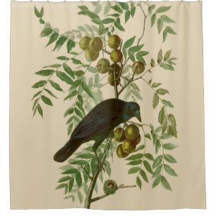 Rideaux De Douche Impression d'oiseau Grackle violet d'Audubon Botan