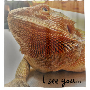 Rideaux De Douche Je vous vois image barbue orange drôle de dragon
