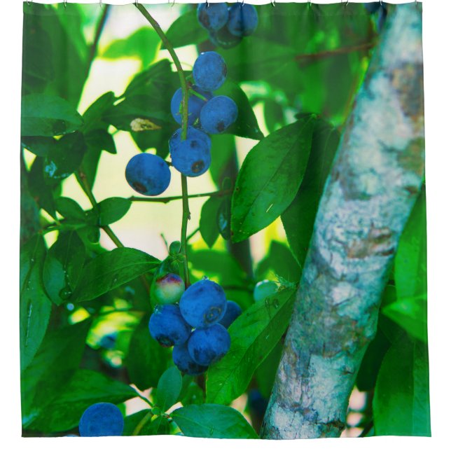 Rideaux De Douche Jolies légumes (Devant)