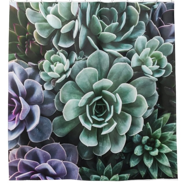 Rideaux De Douche La nature Plante verte Succulente (Devant)