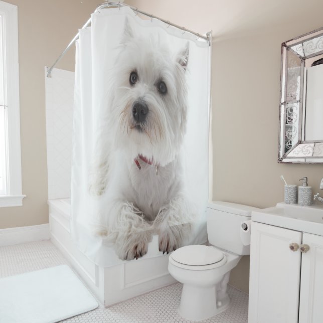 Rideaux De Douche L'adorable Terrier de White West Highland (En situation)