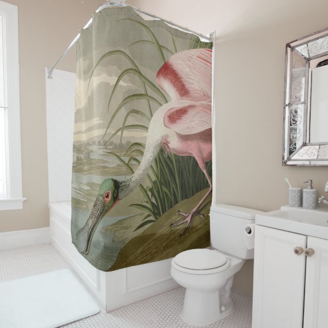 Rideaux De Douche Le bec-de-rose des Oiseaux d'Amérique d'Audubon (En situation)