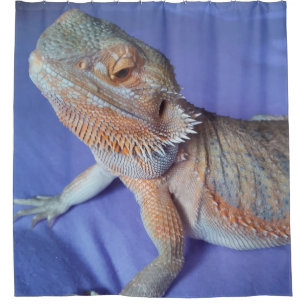 Rideaux De Douche Le dragon barbu adorable ferment le bleu d'image
