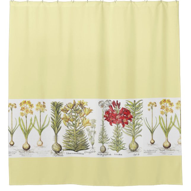 Rideaux De Douche Le narcisse botanique vintage de lis fleurit (Devant)