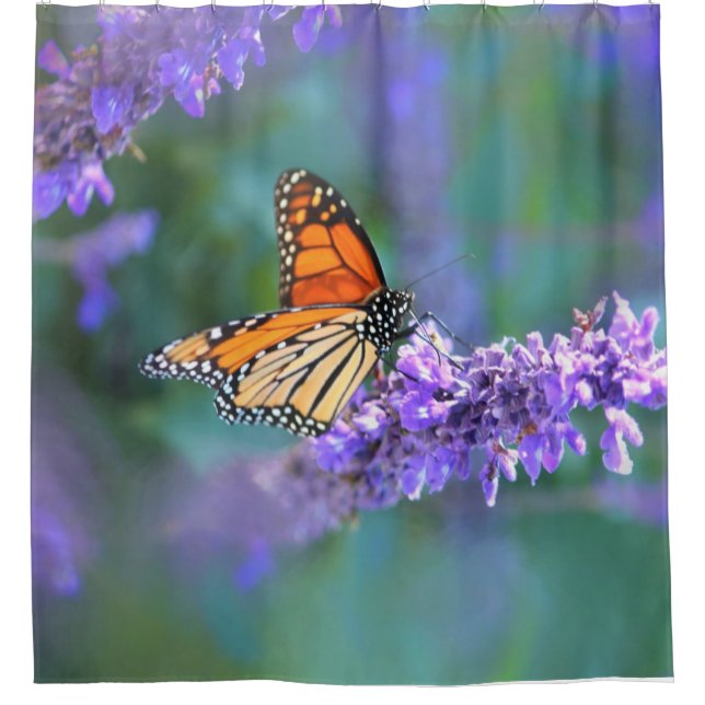 Rideaux De Douche Le papillon Monarque sur la fleur lilas violette (Devant)