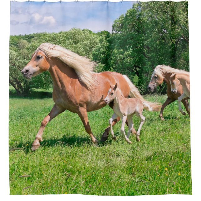 Rideaux De Douche Les chevaux de Haflinger avec les poulains mignons (Devant)