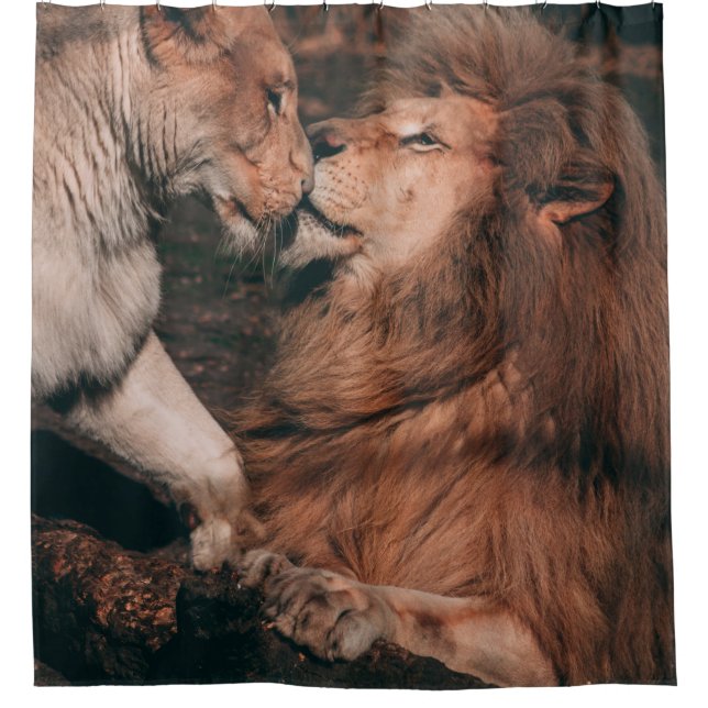 RIDEAUX DE DOUCHE LION ALLANT SUR ROCHE BROWN (Devant)