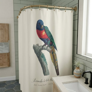 Rideaux De Douche Loriquet arc-en-ciel mâle, Trichoglossus moluccanu