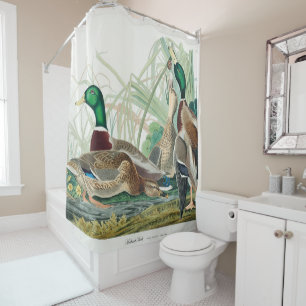 Rideaux De Douche Mallard Duck, 1834, From the Birds of America