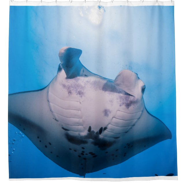 Rideaux De Douche Manta Mania : Rayon Manta au soleil (Devant)