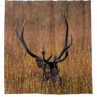 Rideaux De Douche Masquage de la douche d'Elk Curtian