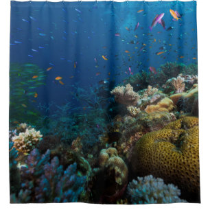 Rideaux De Douche Mer de corail de la Grande barrière de corail de