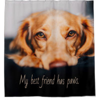 Mon meilleur ami a des pattes de chien, Puppy Meme