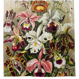 Rideaux De Douche Orchidées, Orchidée Denusblumen Ernst Haeckel