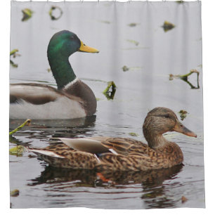 Rideaux De Douche Paires de canards de Mallard
