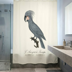 Rideaux De Douche Palmiste noir, Probosciger aterrimus