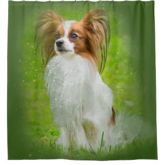 Rideaux De Douche papillon, papillon, papillon, papillon, papillon,