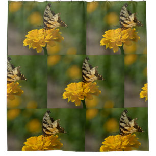 Rideaux De Douche Papillon Swallowtail sur Zinnia