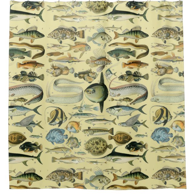 Rideaux De Douche Pêche scientifique vintage (Devant)