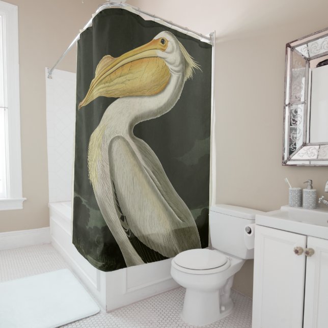 Rideaux De Douche Pélican blanc américain, les oiseaux d'Amérique d' (En situation)