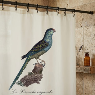 Rideaux De Douche Perruche terrestre ou Perruche des marais, Pezopor