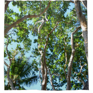 Rideaux De Douche Photo 45 arbres