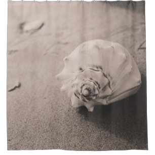 Rideaux De Douche Photo de clôture de coquillages blancs sur sable