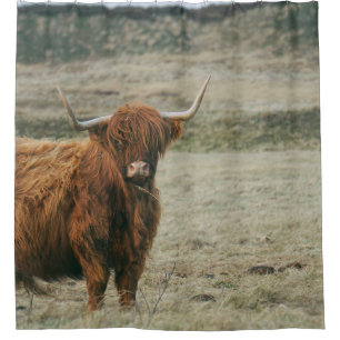 Rideaux De Douche PHOTO DE LA VACHE DE CHÂTEAU vintage HIGHLAND