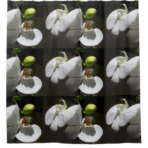 Rideaux De Douche photo d'orchidée blanche, photo à fleurs blanches 