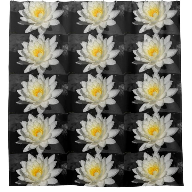 Rideaux De Douche Photo White Water Lily (Devant)