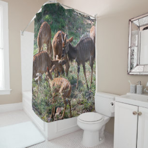 Rideaux De Douche Photographie de faune africaine de l'antilope nyal