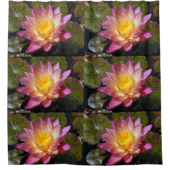 Rideaux De Douche Photos Pink Water Lily (Devant)