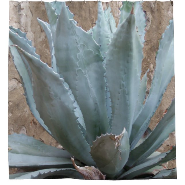 Rideaux De Douche Plante Agave Bleu (Devant)