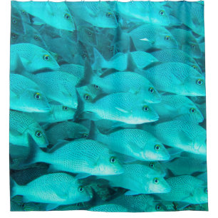 Rideaux De Douche Poissons tropicaux colorés et barrière de corail d