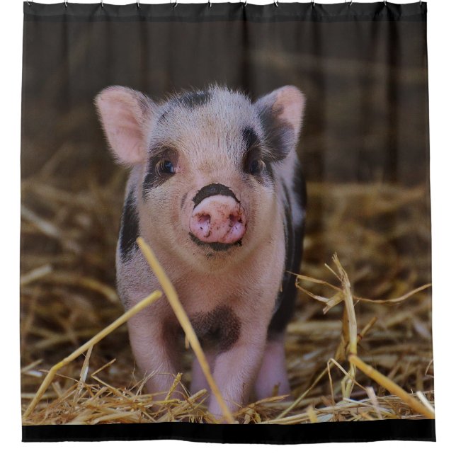 Rideaux De Douche Porc mignon (Devant)