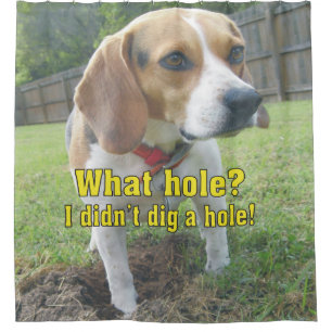 Rideaux De Douche Quel trou ? Je n'ai pas creusé un trou ! Beagle