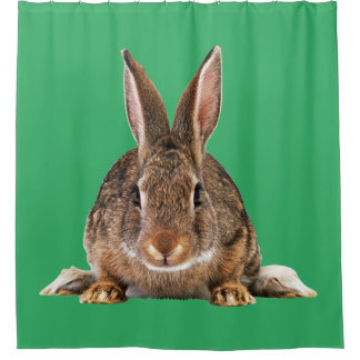 RIDEAUX DE DOUCHE RABBIT