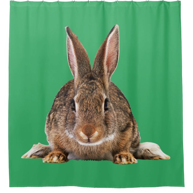 RIDEAUX DE DOUCHE RABBIT (Devant)