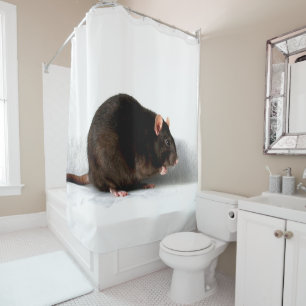 Rideaux De Douche Rat scm