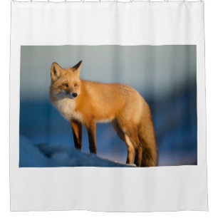 Rideaux De Douche Renard Brown