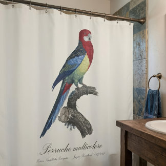 Rideaux De Douche Rosella orientale ou Perruche à tête pâle