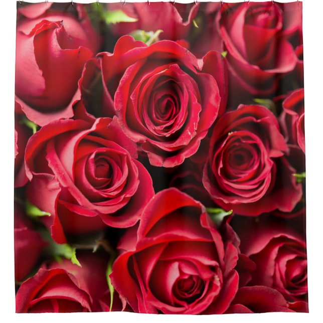 Rideaux De Douche Roses rouges (Devant)